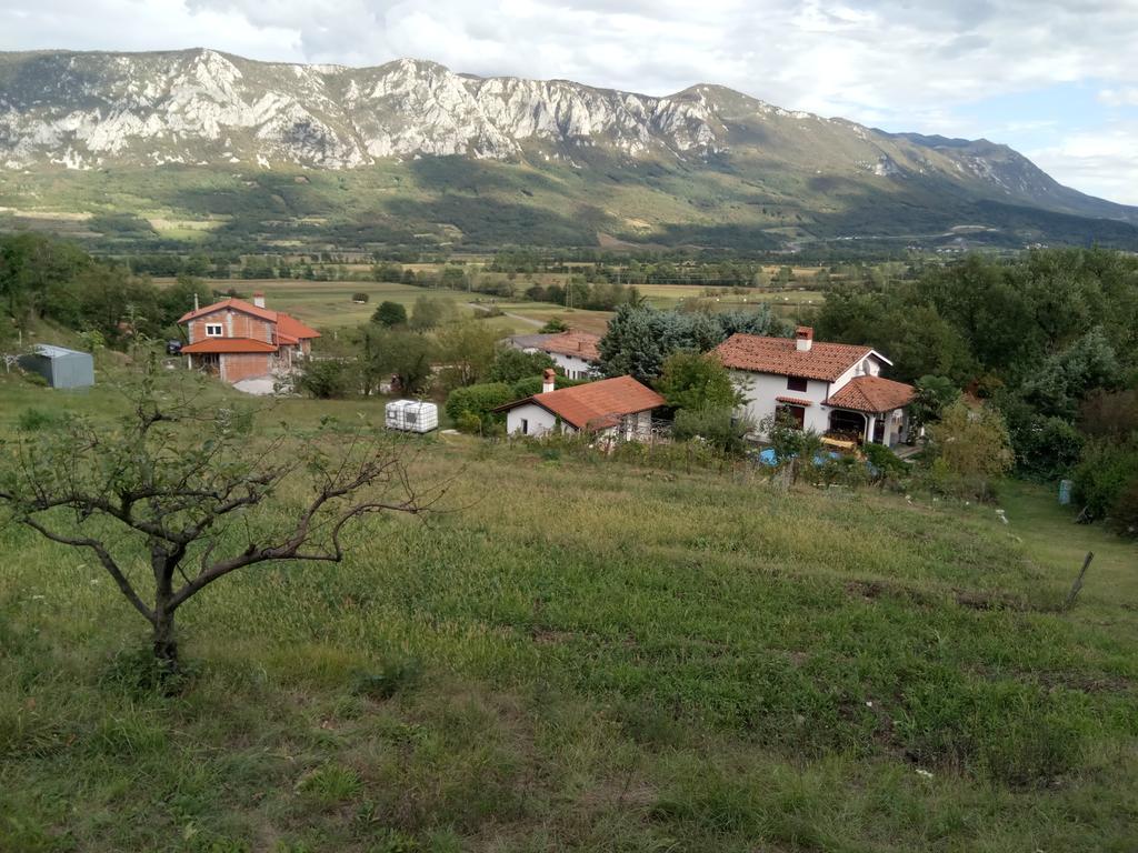 Slavi Vipava