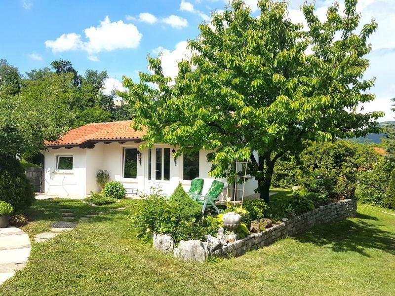 Slavi * Vipava