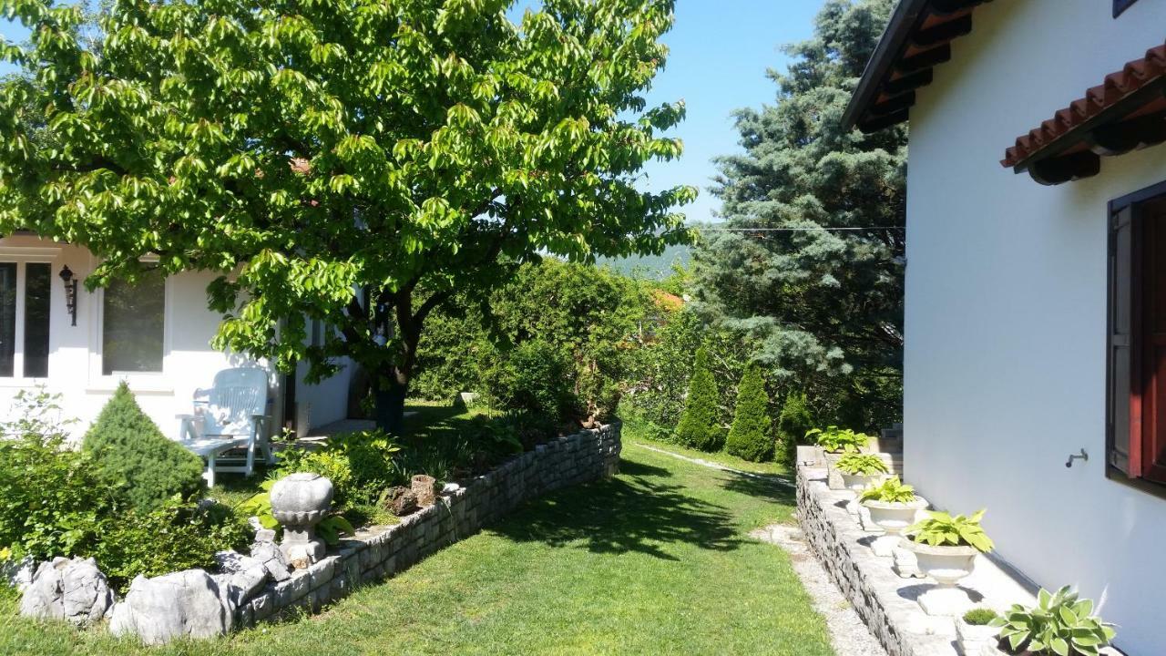 Slavi Vipava