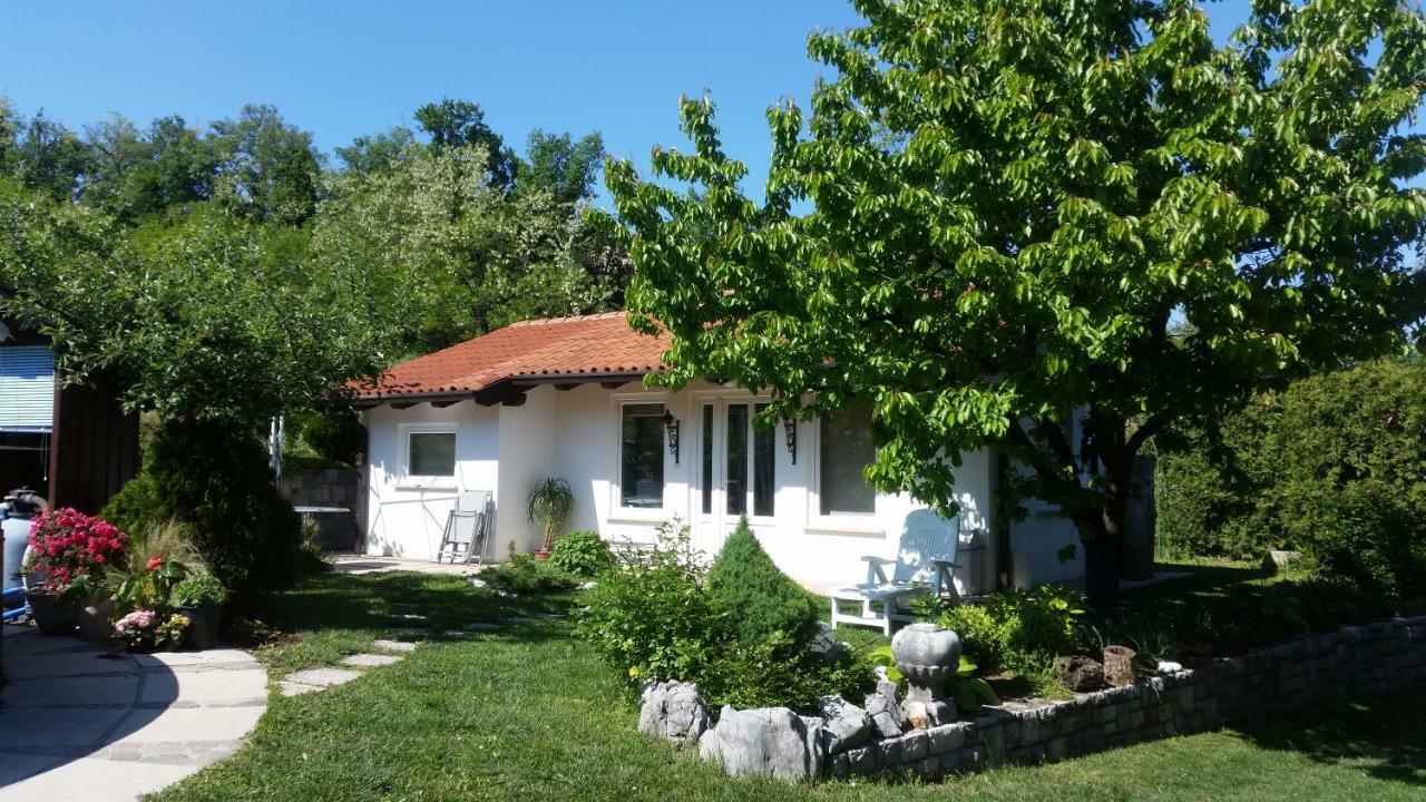 Slavi Vipava